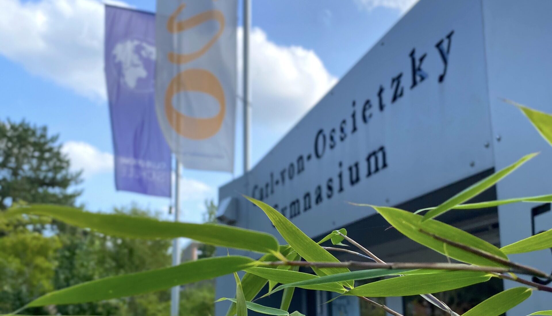 Das blühende CvO gewinnt Preis für Schulgarten